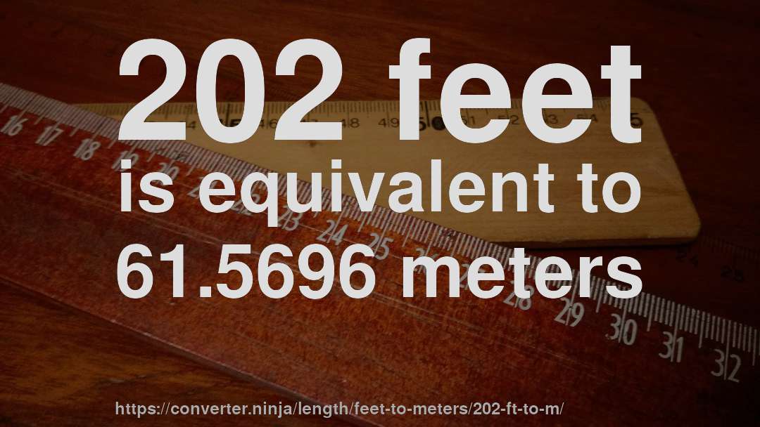 202 feet is equivalent to 61.5696 meters