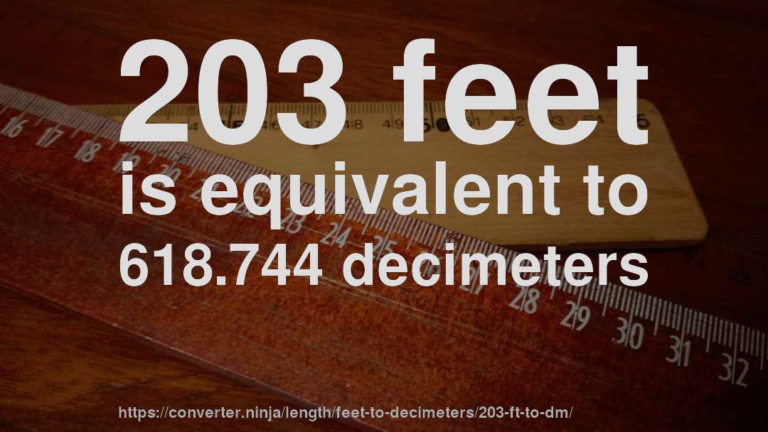 203 feet is equivalent to 618.744 decimeters