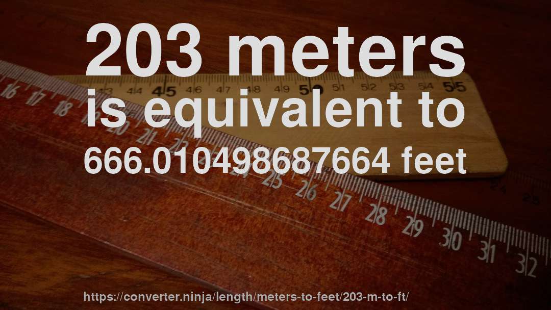 203 meters is equivalent to 666.010498687664 feet
