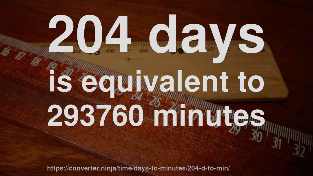 204 days is equivalent to 293760 minutes