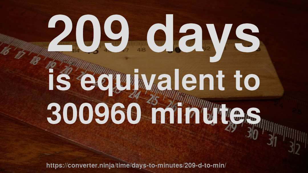 209 days is equivalent to 300960 minutes
