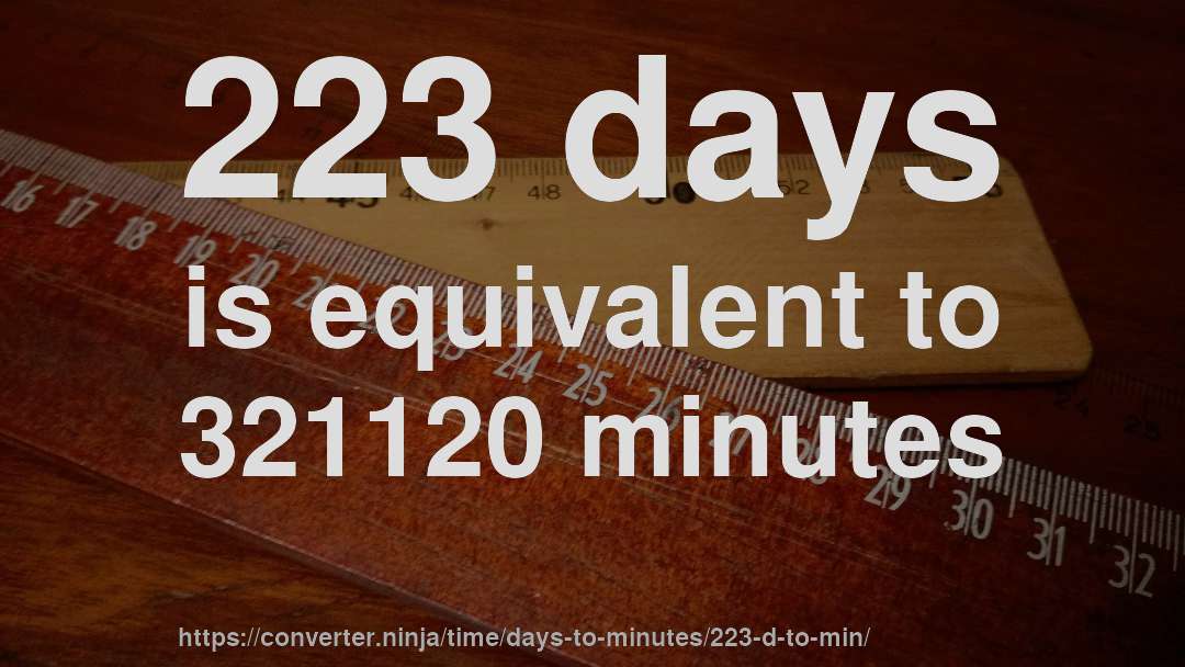 223 days is equivalent to 321120 minutes