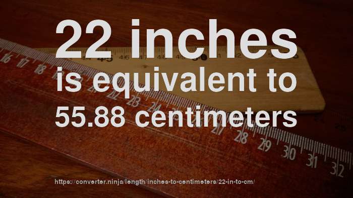 22-in-to-cm-how-long-is-22-inches-in-centimeters-convert