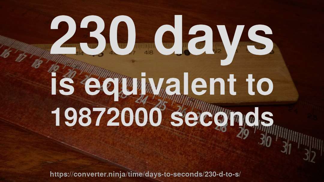 230 days is equivalent to 19872000 seconds