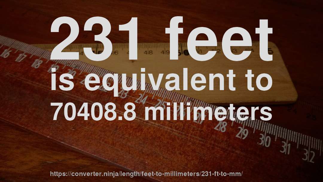 231 feet is equivalent to 70408.8 millimeters