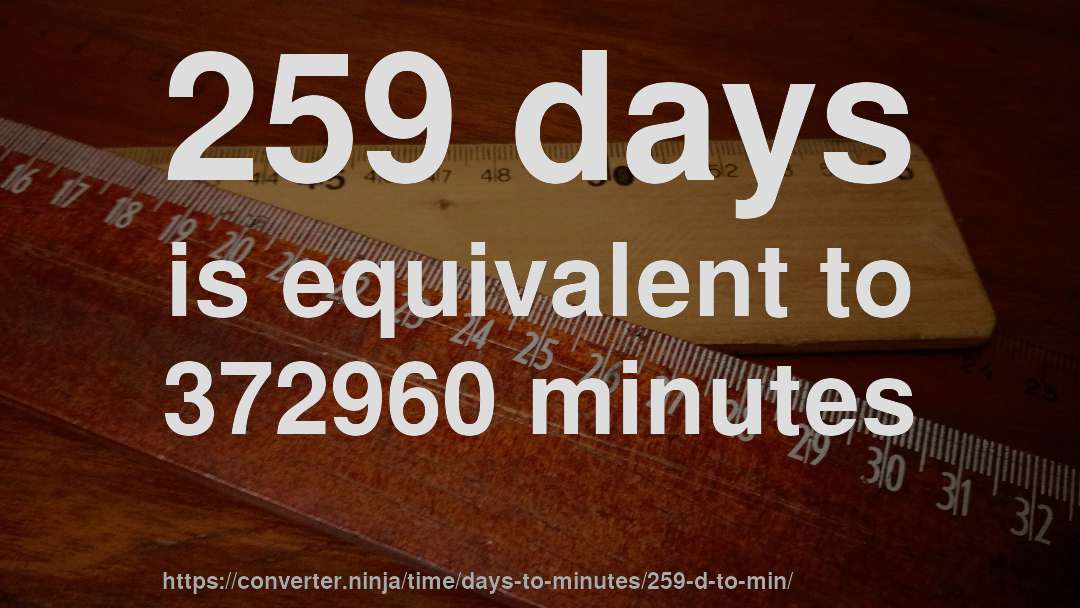259 days is equivalent to 372960 minutes