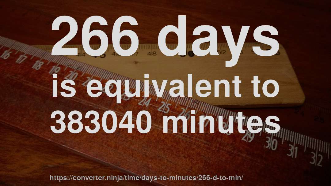 266 days is equivalent to 383040 minutes