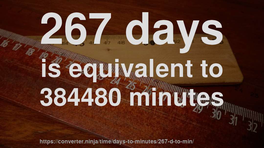 267 days is equivalent to 384480 minutes