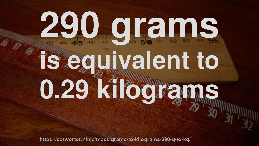 290 grams is equivalent to 0.29 kilograms