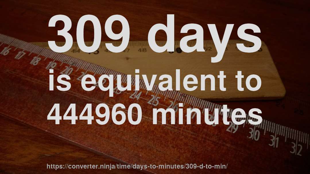 309 days is equivalent to 444960 minutes