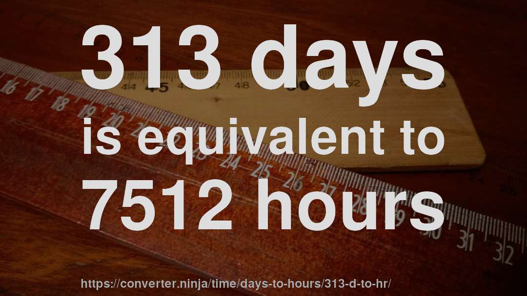 313 days is equivalent to 7512 hours