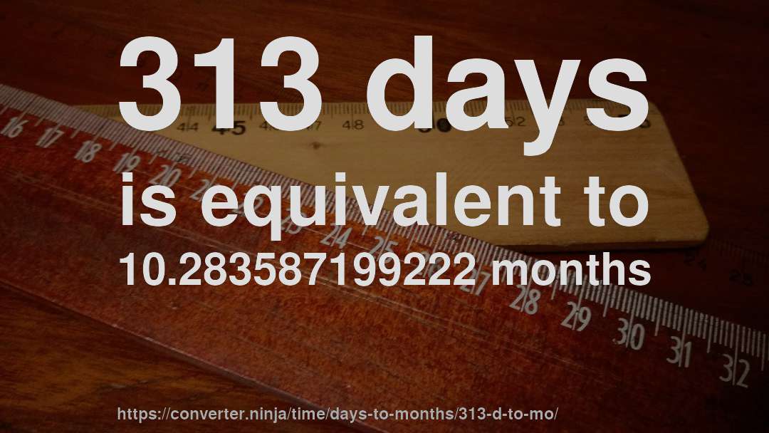 313 days is equivalent to 10.283587199222 months