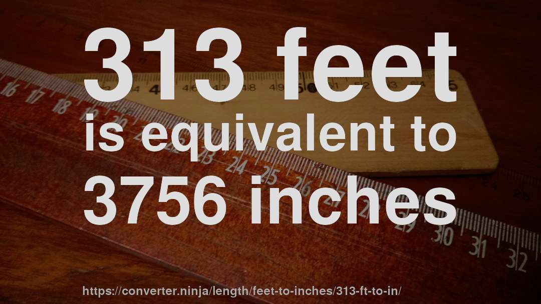 313 feet is equivalent to 3756 inches