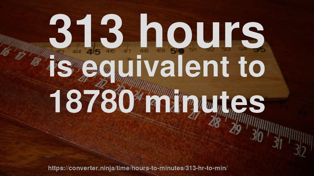 313 hours is equivalent to 18780 minutes