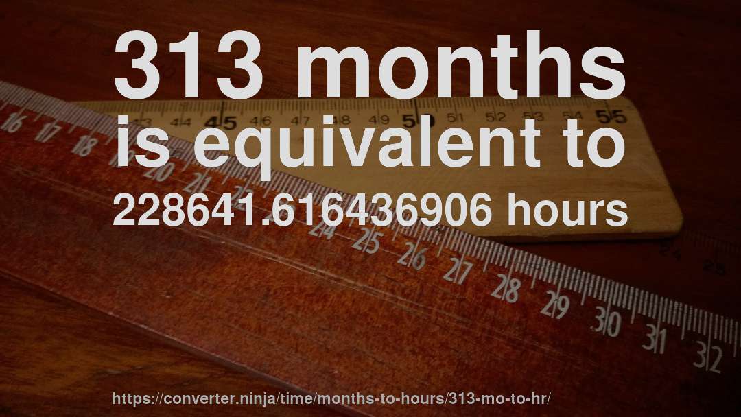 313 months is equivalent to 228641.616436906 hours