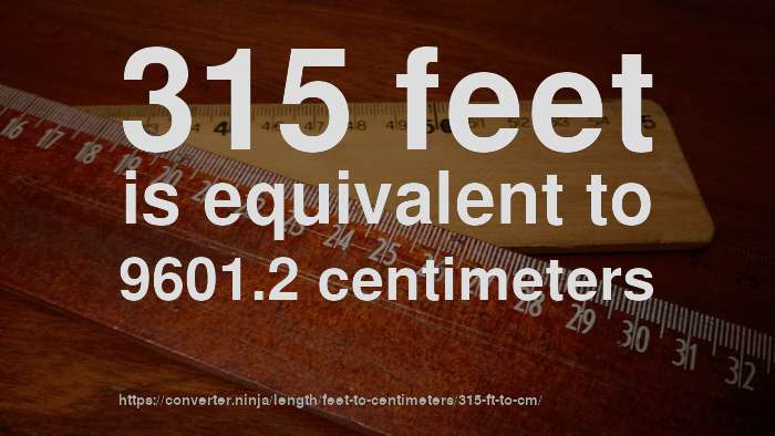 315-ft-to-cm-how-long-is-315-feet-in-centimeters-convert