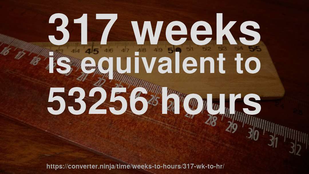 317 weeks is equivalent to 53256 hours