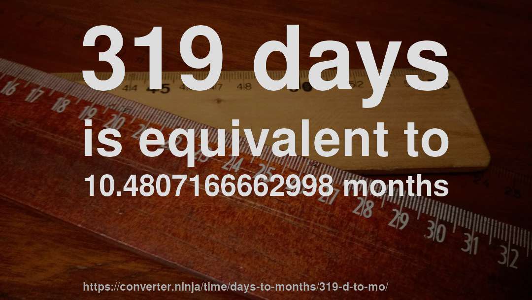 319 days is equivalent to 10.4807166662998 months