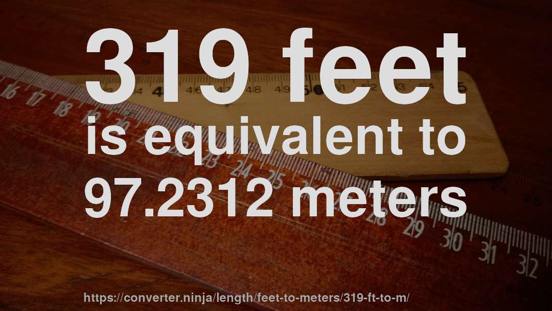 319 feet is equivalent to 97.2312 meters