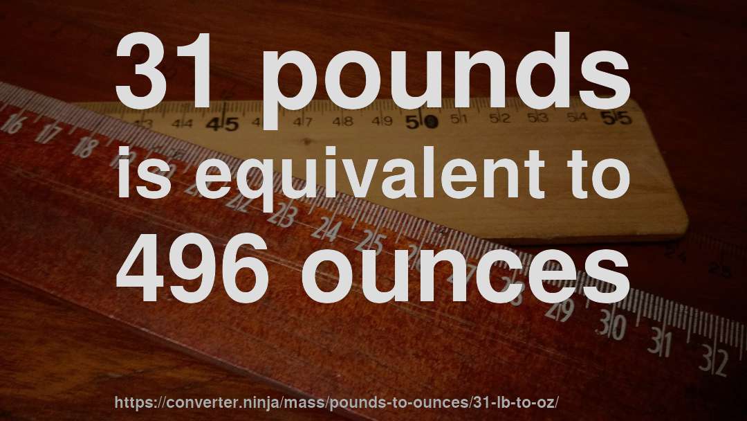 31 pounds is equivalent to 496 ounces