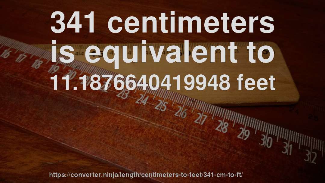341 centimeters is equivalent to 11.1876640419948 feet
