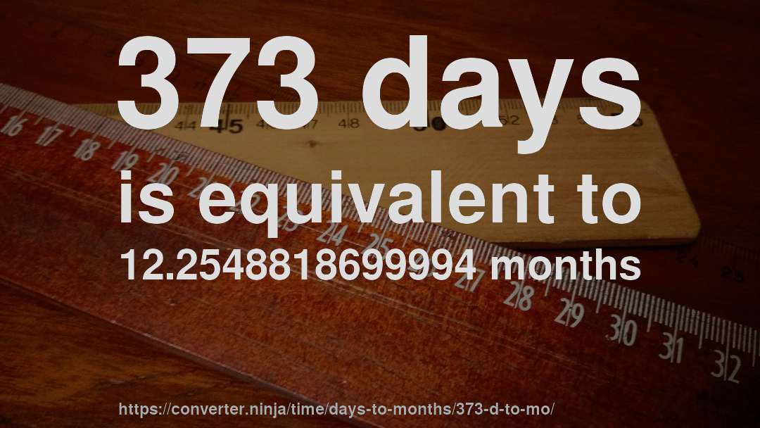 373 days is equivalent to 12.2548818699994 months