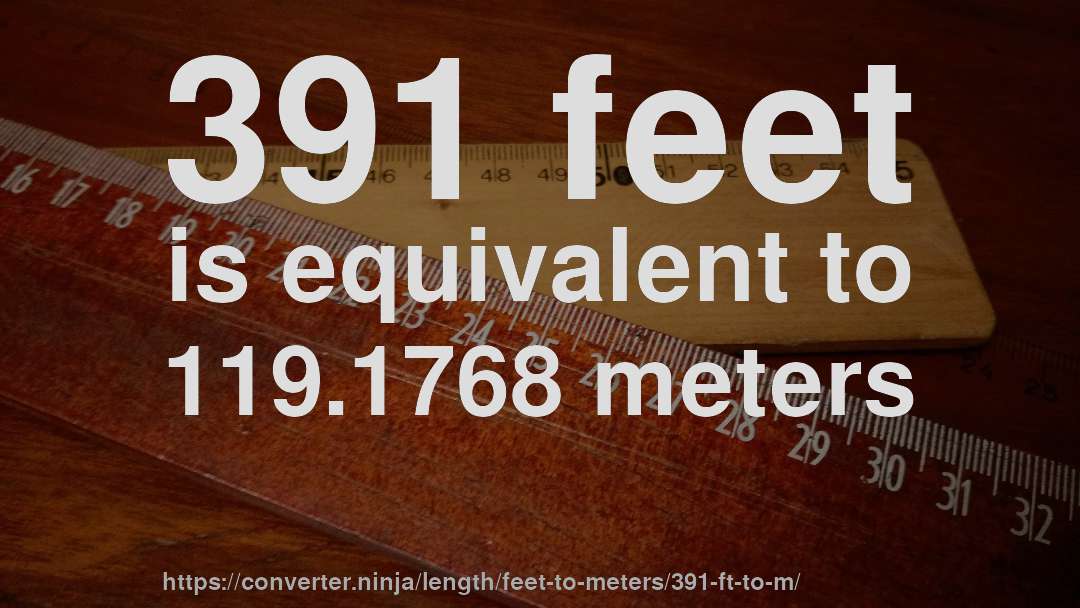 391 feet is equivalent to 119.1768 meters