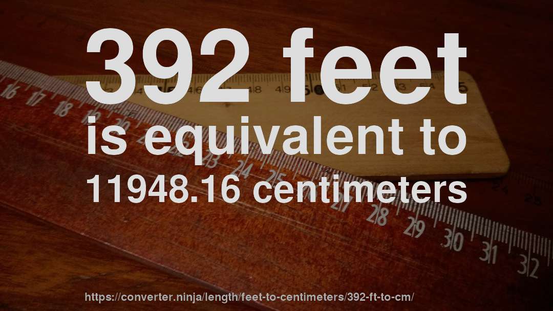 392 feet is equivalent to 11948.16 centimeters