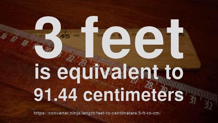 3-ft-to-cm-how-long-is-3-feet-in-centimeters-convert