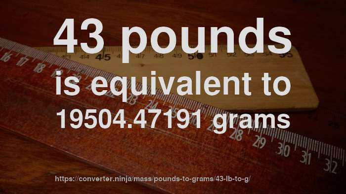 43-lb-to-g-how-much-is-43-pounds-in-grams-convert