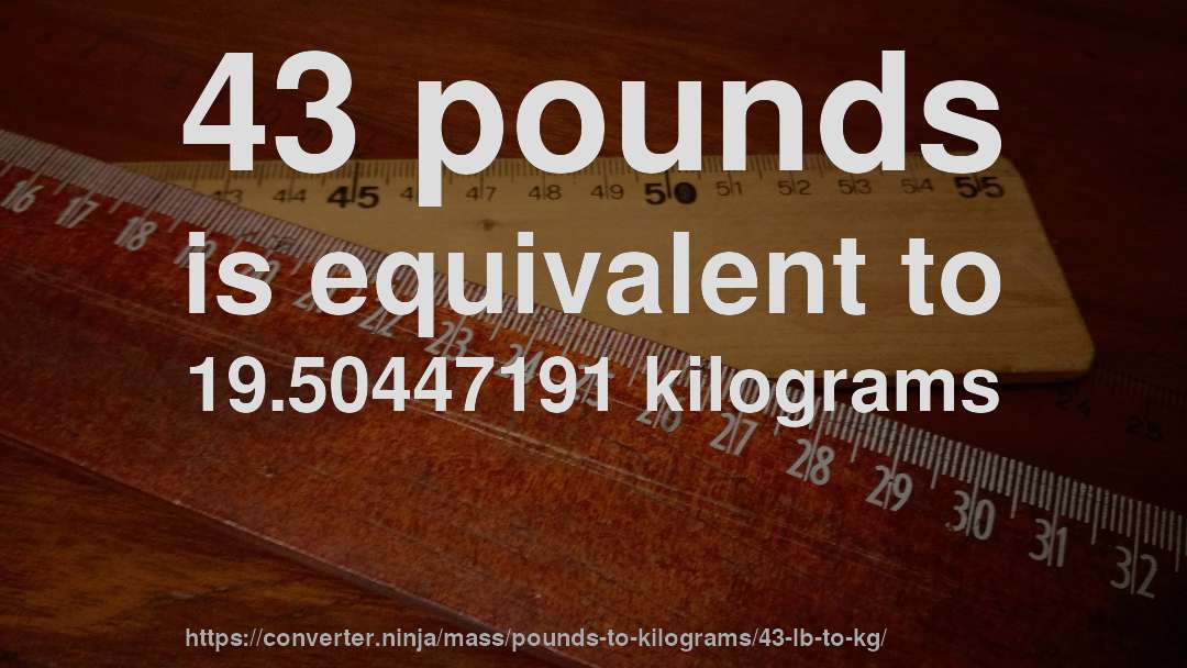 43 pounds is equivalent to 19.50447191 kilograms