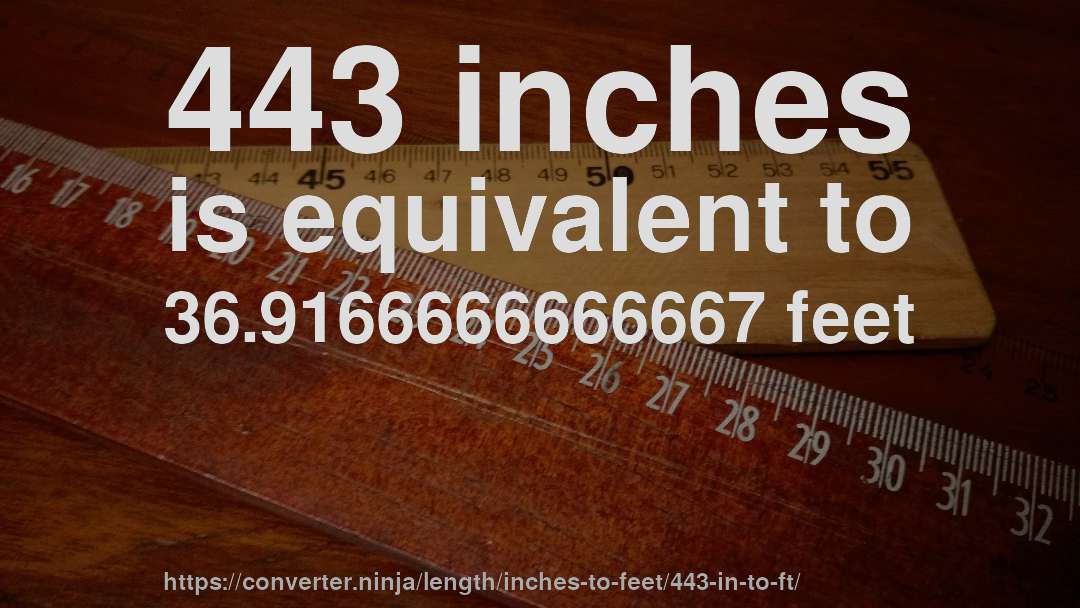 443 inches is equivalent to 36.9166666666667 feet