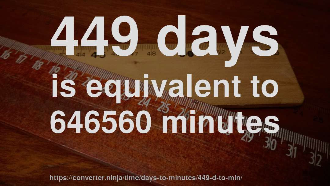 449 days is equivalent to 646560 minutes