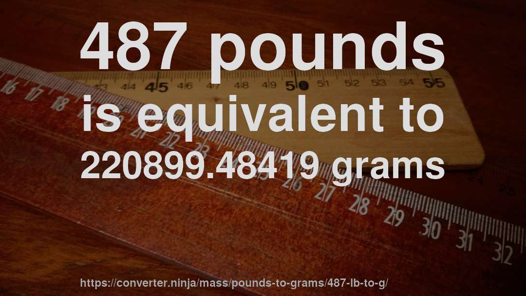 487 pounds is equivalent to 220899.48419 grams