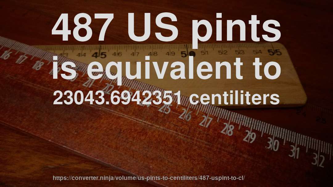 487 US pints is equivalent to 23043.6942351 centiliters