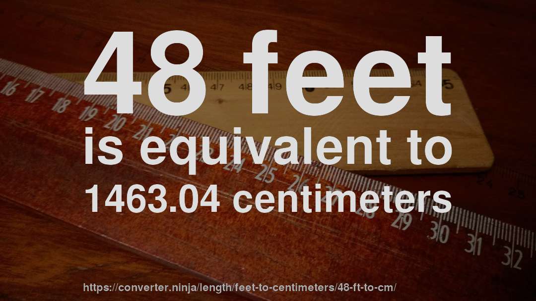 48 feet is equivalent to 1463.04 centimeters
