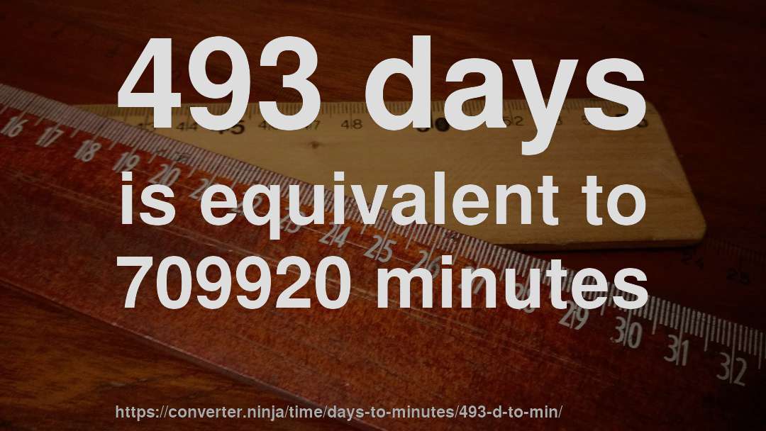 493 days is equivalent to 709920 minutes