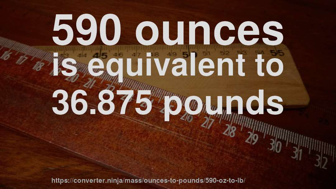 590 ounces is equivalent to 36.875 pounds