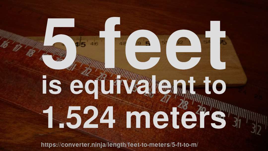 Schelden Weigering ongerustheid 5 ft to m - How long is 5 feet in meters? [CONVERT] ✓