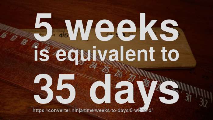 5-wk-to-d-how-long-is-5-weeks-in-days-convert