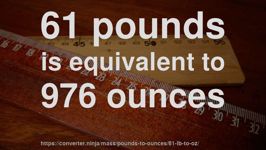 61 pounds is equivalent to 976 ounces