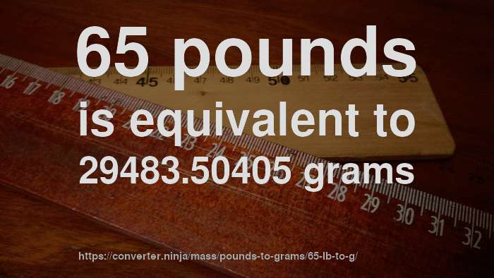 65-lb-to-g-how-much-is-65-pounds-in-grams-convert