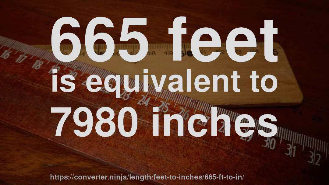 665 feet is equivalent to 7980 inches