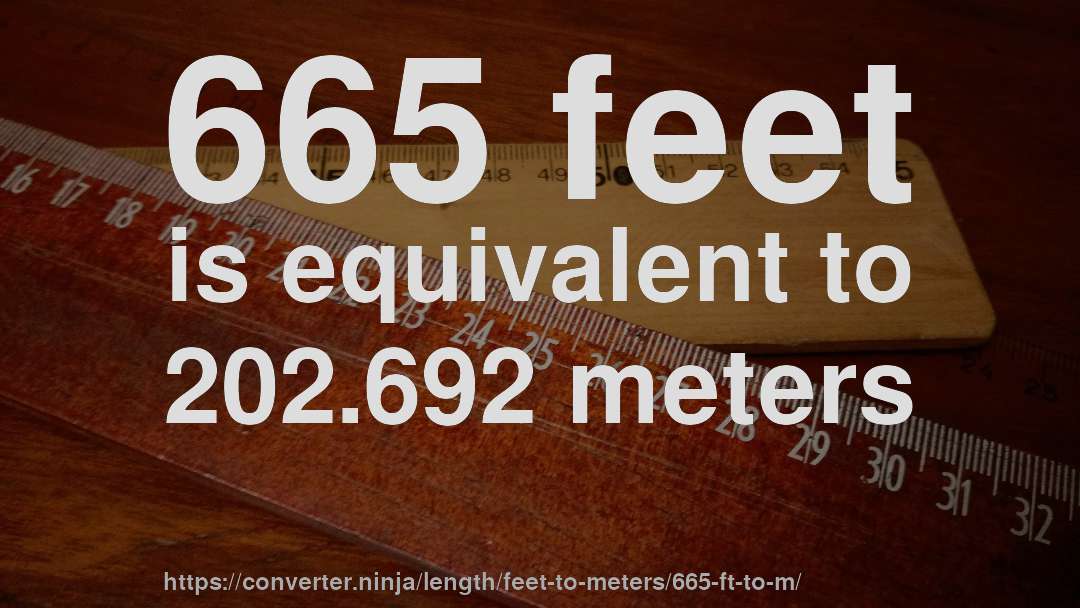 665 feet is equivalent to 202.692 meters