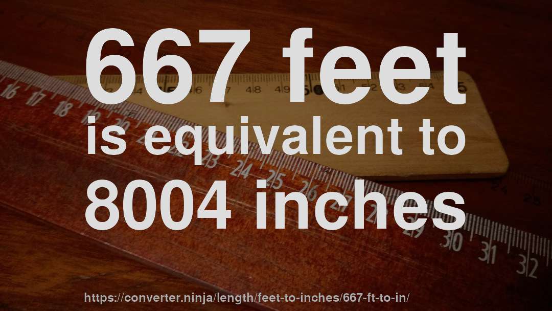 667 feet is equivalent to 8004 inches