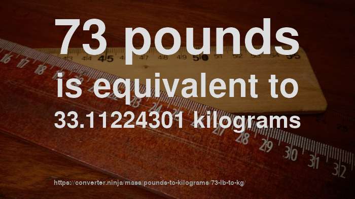 73-lb-to-kg-how-much-is-73-pounds-in-kilograms-convert