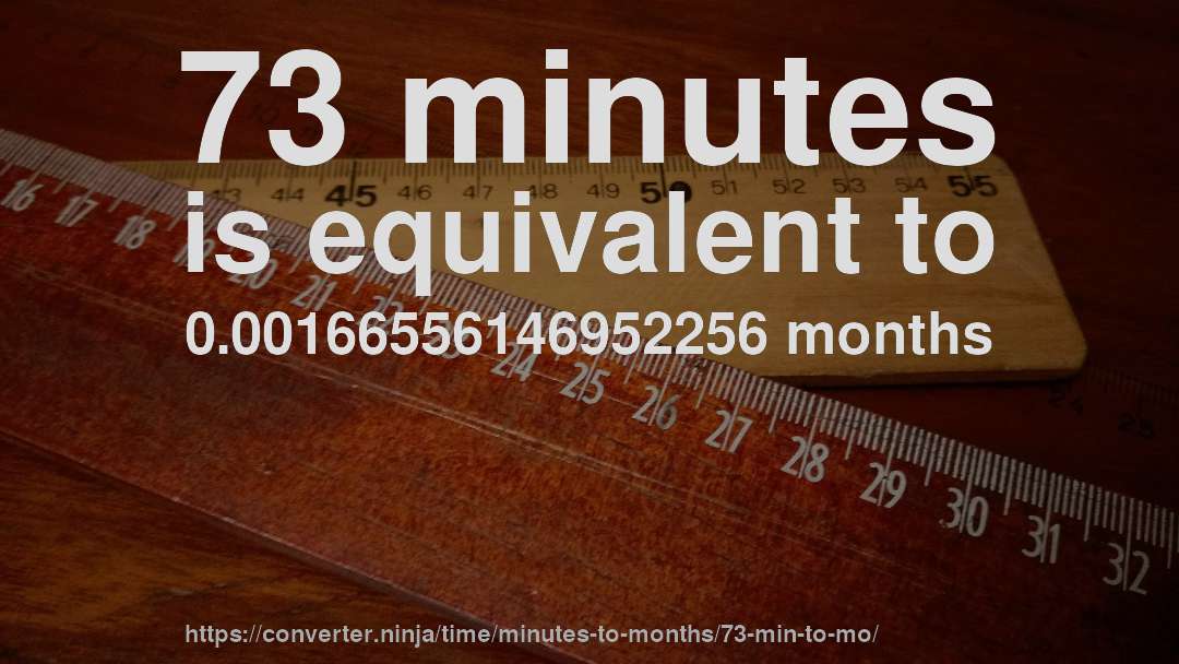 73 minutes is equivalent to 0.00166556146952256 months