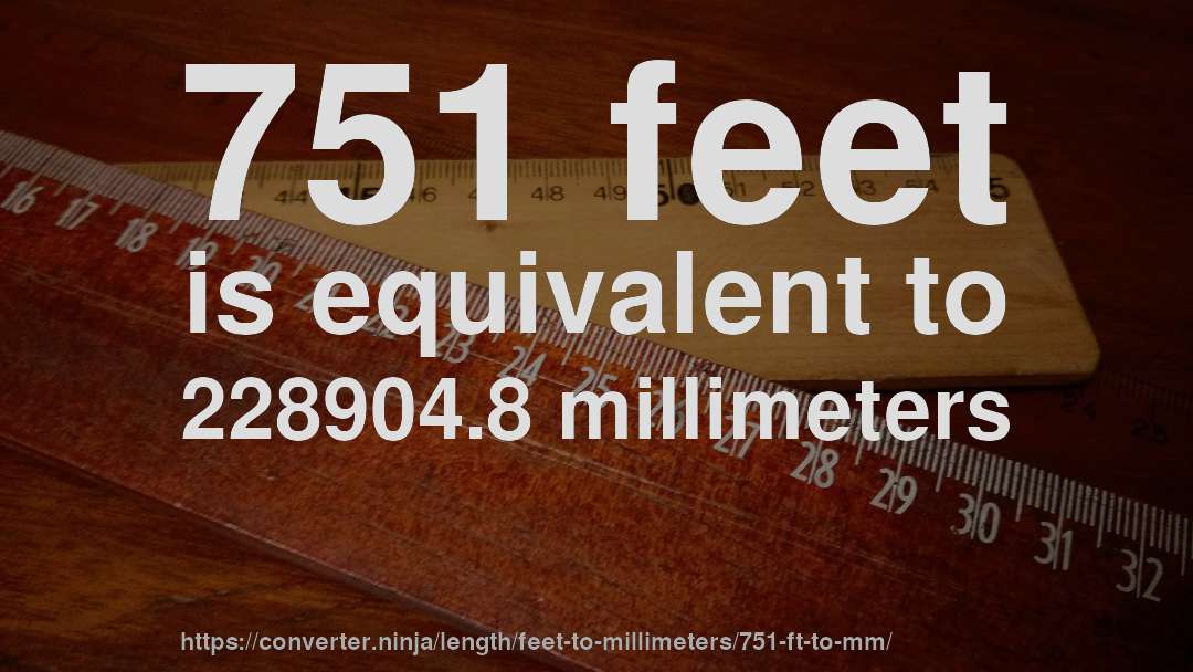 751 feet is equivalent to 228904.8 millimeters