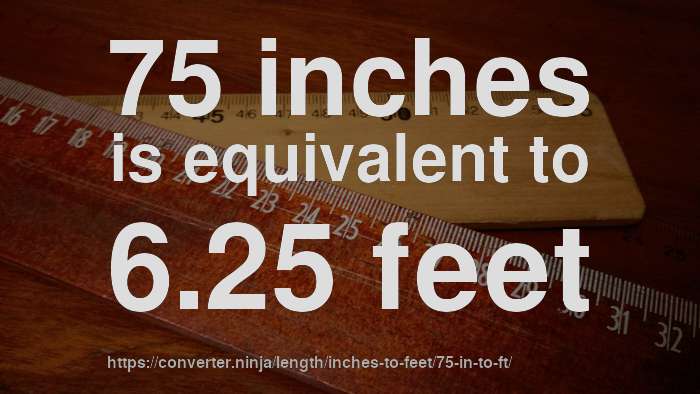 75-in-to-ft-how-long-is-75-inches-in-feet-convert