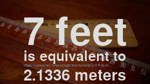 7 feet in meters